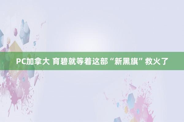 PC加拿大 育碧就等着这部“新黑旗”救火了