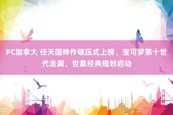 PC加拿大 任天国神作碾压式上榜、宝可梦第十世代走漏、世嘉经典规划启动