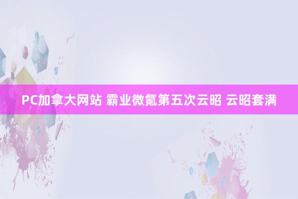 PC加拿大网站 霸业微氪第五次云昭 云昭套满