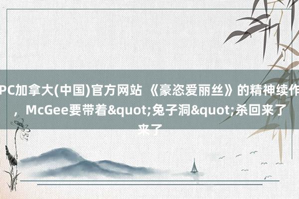 PC加拿大(中国)官方网站 《豪恣爱丽丝》的精神续作，McGee要带着"兔子洞"杀回来了