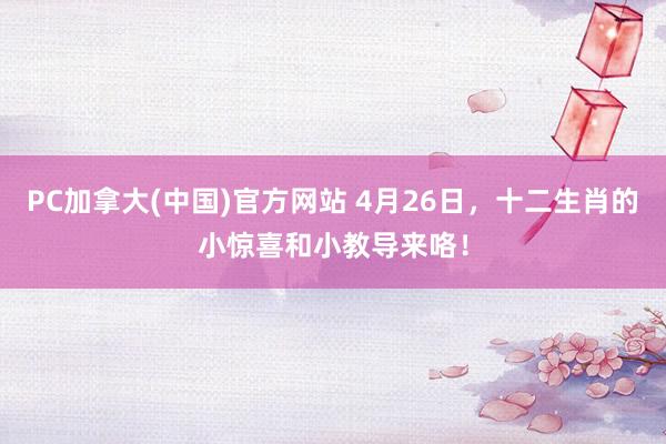 PC加拿大(中国)官方网站 4月26日，十二生肖的小惊喜和小教导来咯！