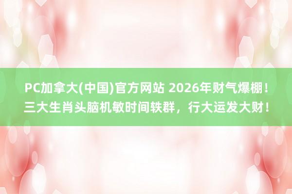 PC加拿大(中国)官方网站 2026年财气爆棚！三大生肖头脑机敏时间轶群，行大运发大财！