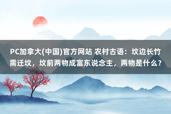 PC加拿大(中国)官方网站 农村古语：坟边长竹需迁坟，坟前两物成富东说念主，两物是什么？