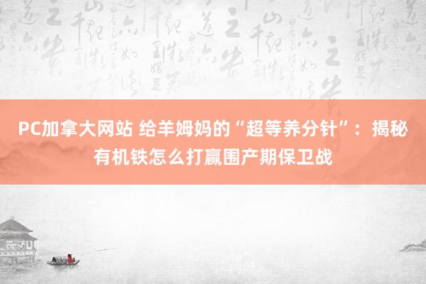 PC加拿大网站 给羊姆妈的“超等养分针”：揭秘有机铁怎么打赢围产期保卫战