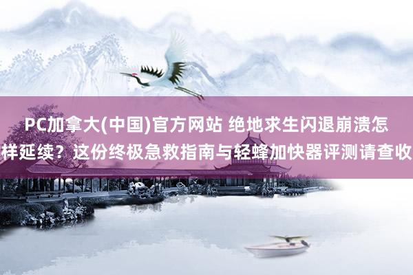 PC加拿大(中国)官方网站 绝地求生闪退崩溃怎样延续？这份终极急救指南与轻蜂加快器评测请查收