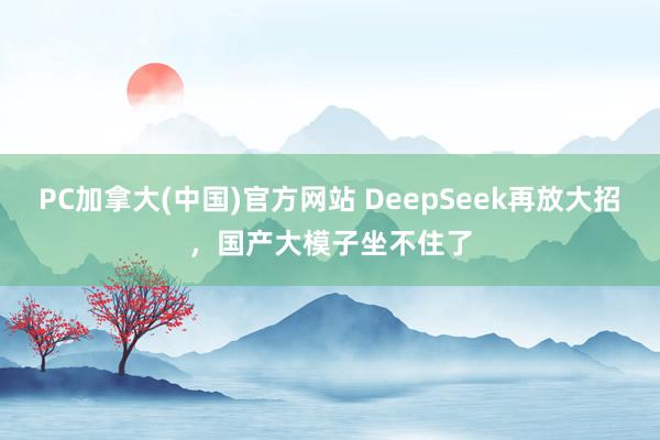 PC加拿大(中国)官方网站 DeepSeek再放大招，国产大模子坐不住了