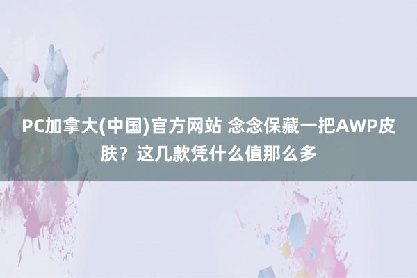 PC加拿大(中国)官方网站 念念保藏一把AWP皮肤？这几款凭什么值那么多