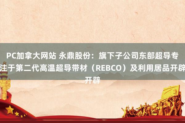 PC加拿大网站 永鼎股份：旗下子公司东部超导专注于第二代高温超导带材（REBCO）及利用居品开辟