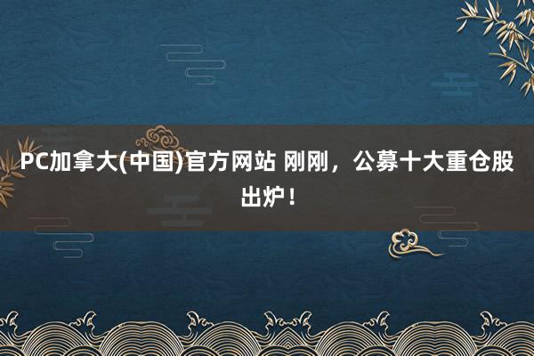 PC加拿大(中国)官方网站 刚刚，公募十大重仓股出炉！