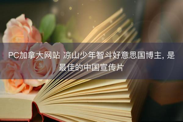 PC加拿大网站 凉山少年智斗好意思国博主， 是最佳的中国宣传片