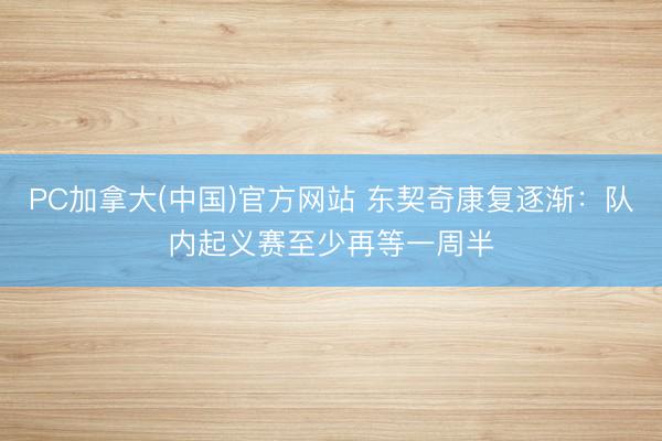 PC加拿大(中国)官方网站 东契奇康复逐渐：队内起义赛至少再等一周半