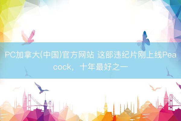 PC加拿大(中国)官方网站 这部违纪片刚上线Peacock，十年最好之一